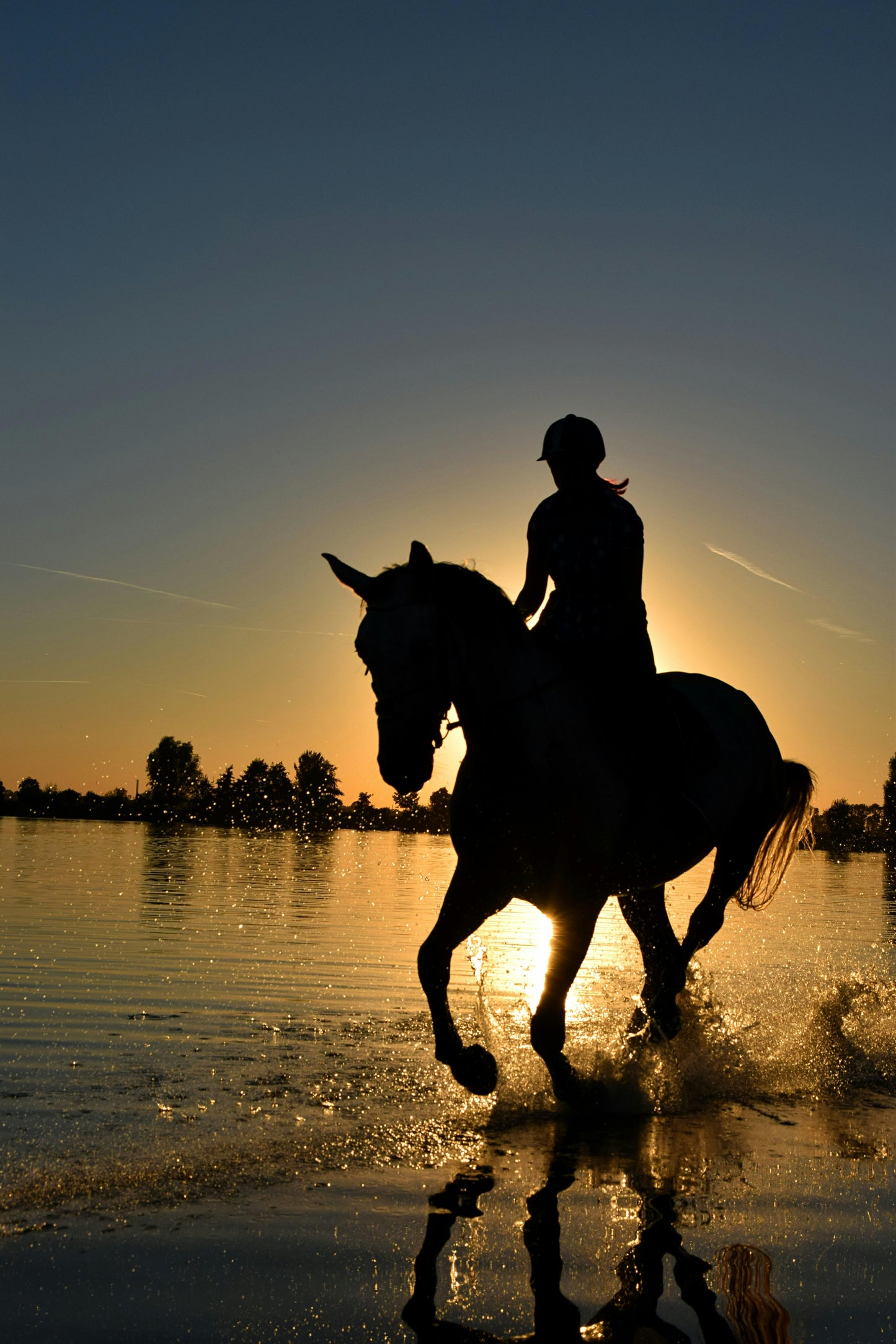 Equine Performance Formula